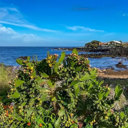 Lejlighed T2 1st Floor Pools